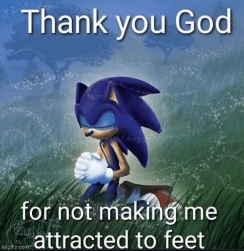 Thank you god for not making me attracted to feet | image tagged in thank you god for not making me attracted to feet,msmg | made w/ Imgflip meme maker