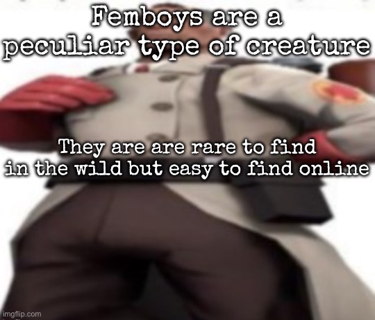 Ze medic | Femboys are a peculiar type of creature; They are are rare to find in the wild but easy to find online | image tagged in ze medic,msmg | made w/ Imgflip meme maker