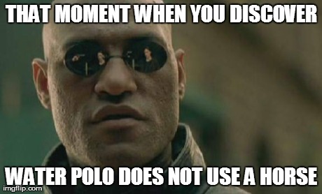 Matrix Morpheus Meme | THAT MOMENT WHEN YOU DISCOVER WATER POLO DOES NOT USE A HORSE | image tagged in memes,matrix morpheus | made w/ Imgflip meme maker