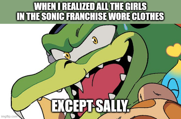 Seriously... | WHEN I REALIZED ALL THE GIRLS IN THE SONIC FRANCHISE WORE CLOTHES; EXCEPT SALLY. | image tagged in nervous vector,sally,sonic the hedgehog,sonic,vector | made w/ Imgflip meme maker