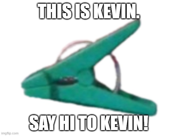 THIS IS KEVIN THE """""DRAGON""""" | THIS IS KEVIN. SAY HI TO KEVIN! | image tagged in dragon,kevin | made w/ Imgflip meme maker