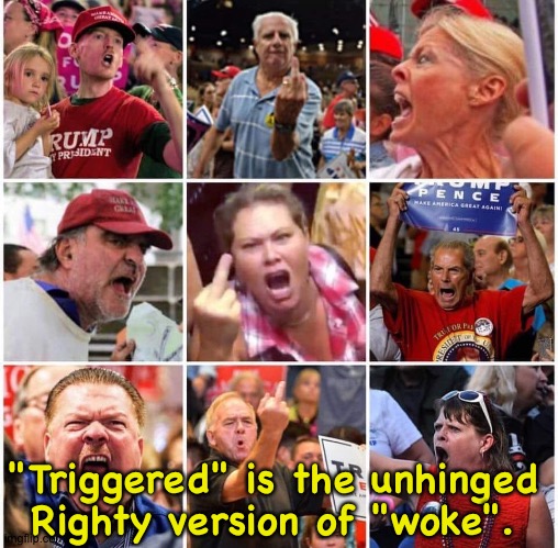 Triggered Trumpers | "Triggered" is the unhinged Righty version of "woke". | image tagged in triggered trump supporters | made w/ Imgflip meme maker