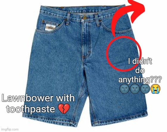 jorts | I didn't do anything??? 🌚🌚🌚😭; Lawnbower with toothpaste 💔 | image tagged in jorts | made w/ Imgflip meme maker