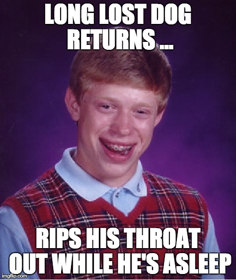 Bad Luck Brian | LONG LOST DOG RETURNS ... RIPS HIS THROAT OUT WHILE HE'S ASLEEP | image tagged in memes,bad luck brian | made w/ Imgflip meme maker