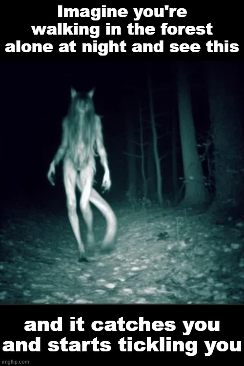 Imagine you're walking in the forest alone at night and see this; and it catches you and starts tickling you | made w/ Imgflip meme maker