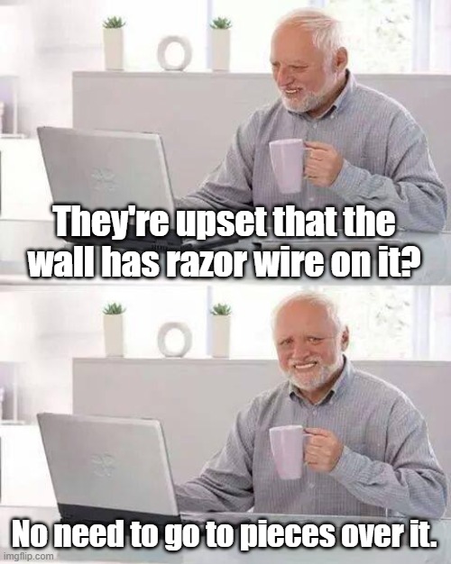 Hide the Pain Harold Meme | They're upset that the wall has razor wire on it? No need to go to pieces over it. | image tagged in memes,hide the pain harold | made w/ Imgflip meme maker