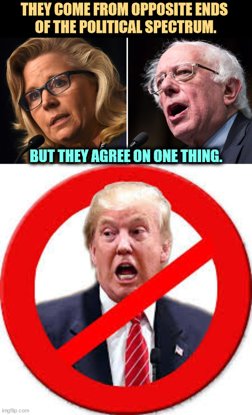 THEY COME FROM OPPOSITE ENDS 
OF THE POLITICAL SPECTRUM. BUT THEY AGREE ON ONE THING. | image tagged in liz cheney,bernie sanders,trump,no,sign | made w/ Imgflip meme maker