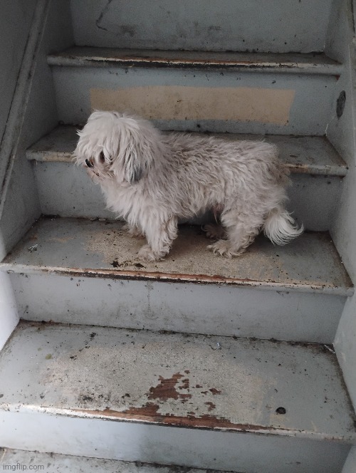 He's learning | made w/ Imgflip meme maker