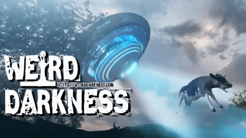 CATTLE MUTILATIONS: The Connection To BIGFOOT, ALIEN ABDUCTIONS, and MIND CONTROL #WeirdDarkness