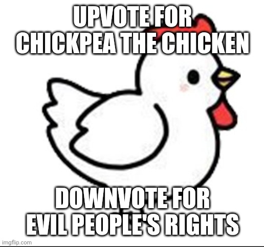 Not ragebaiting | UPVOTE FOR CHICKPEA THE CHICKEN; DOWNVOTE FOR EVIL PEOPLE'S RIGHTS | image tagged in chicken | made w/ Imgflip meme maker