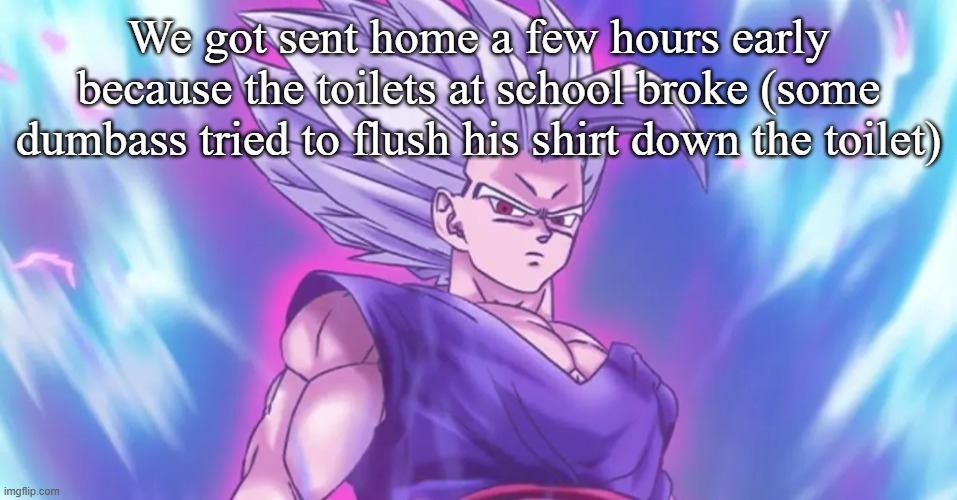 Beasthan | We got sent home a few hours early because the toilets at school broke (some dumbass tried to flush his shirt down the toilet) | image tagged in beasthan | made w/ Imgflip meme maker