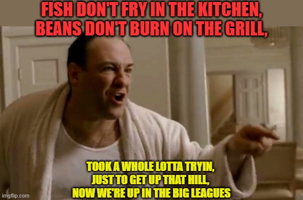 Tony Soprano in this house | FISH DON'T FRY IN THE KITCHEN,
BEANS DON'T BURN ON THE GRILL, TOOK A WHOLE LOTTA TRYIN, 
JUST TO GET UP THAT HILL, 
NOW WE'RE UP IN THE BIG LEAGUES | image tagged in tony soprano in this house | made w/ Imgflip meme maker