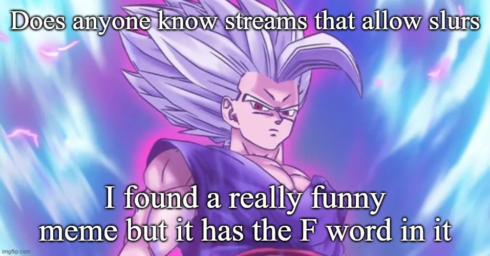 Beasthan | Does anyone know streams that allow slurs; I found a really funny meme but it has the F word in it | image tagged in beasthan | made w/ Imgflip meme maker