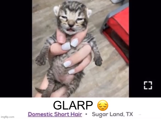 chair editable | GLARP 😔 | image tagged in chair editable | made w/ Imgflip meme maker