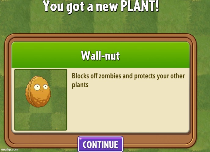 worst design of wallnut ive seen | made w/ Imgflip meme maker