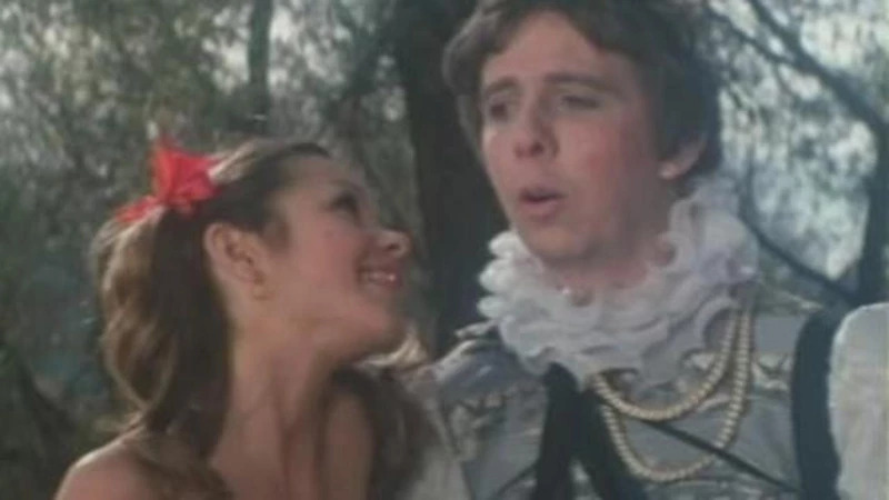 adult fairytail Blank Meme Template