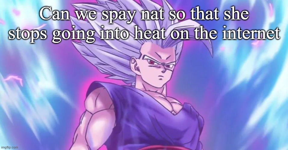 Remove his ovaries or something | Can we spay nat so that she stops going into heat on the internet | image tagged in beasthan | made w/ Imgflip meme maker