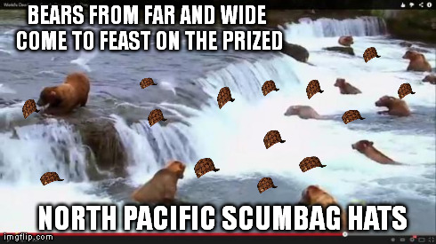 BEARS FROM FAR AND WIDE COME TO FEAST ON THE PRIZED NORTH PACIFIC SCUMBAG HATS | image tagged in fucking campers,scumbag | made w/ Imgflip meme maker