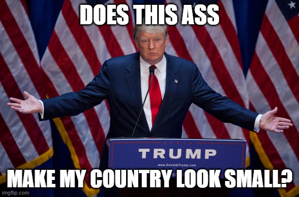 Donald Trump | DOES THIS ASS; MAKE MY COUNTRY LOOK SMALL? | image tagged in donald trump | made w/ Imgflip meme maker