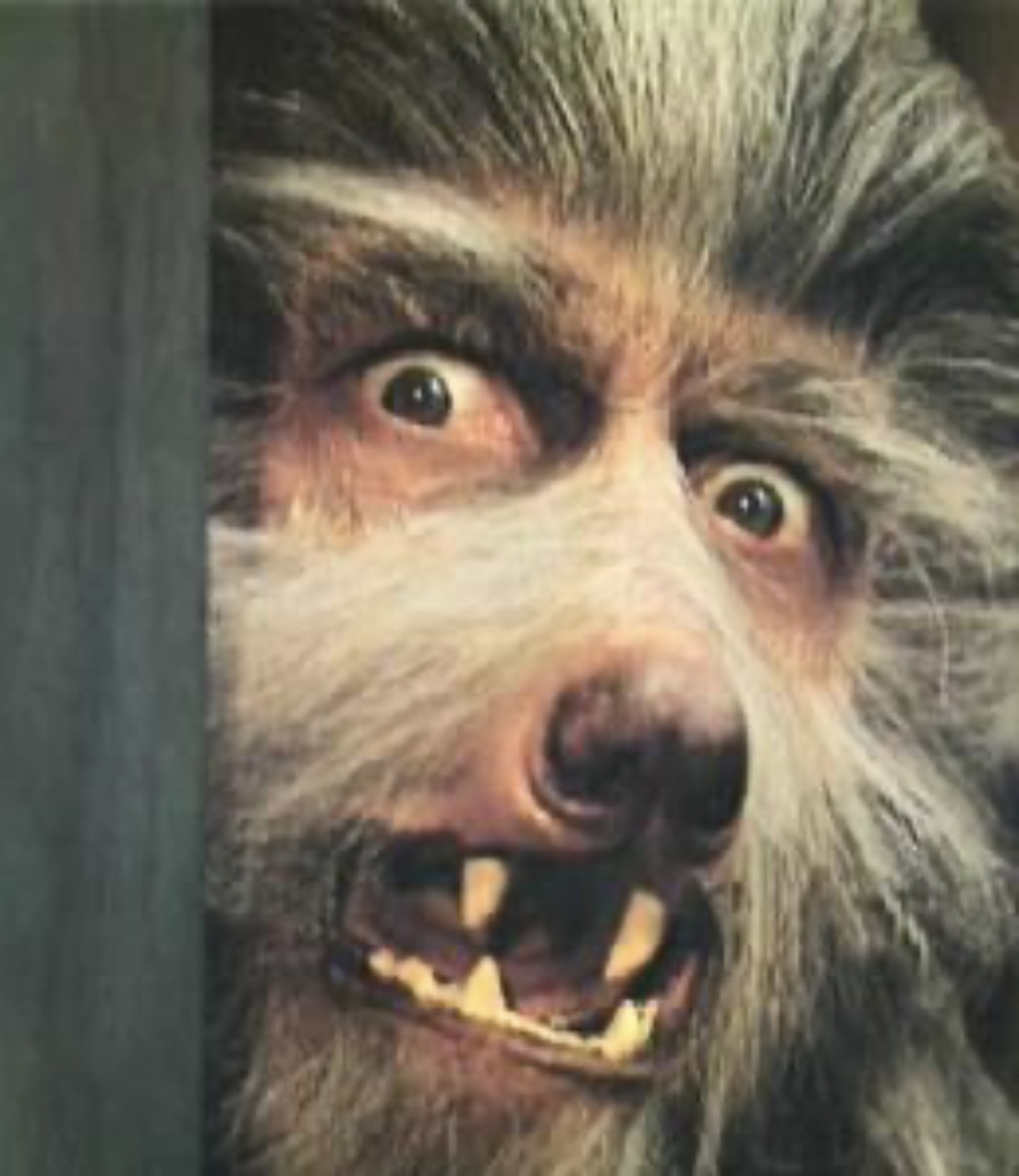 Warewolf Blank Meme Template