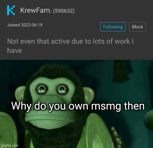 we need an active owner | Why do you own msmg then | image tagged in staring moneky,krewfam,msmg,funny,owners | made w/ Imgflip meme maker