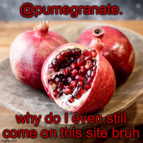 moderately lazy temp | why do I even still come on this site bruh | image tagged in moderately lazy temp | made w/ Imgflip meme maker