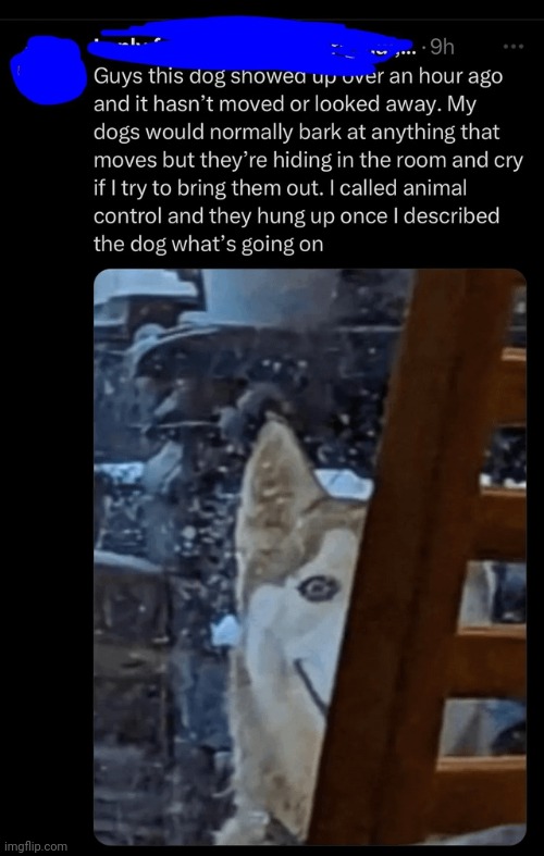 they hung up cause its a fursuit | made w/ Imgflip meme maker