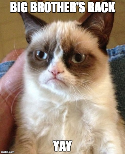 Grumpy Cat | BIG BROTHER'S BACK YAY | image tagged in memes,grumpy cat | made w/ Imgflip meme maker
