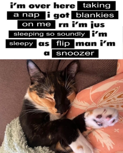 gn chat | made w/ Imgflip meme maker