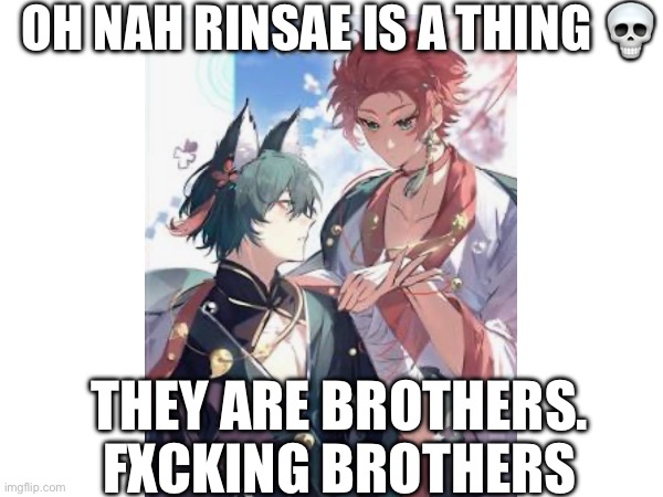 OH NAH RINSAE IS A THING 💀; THEY ARE BROTHERS. FXCKING BROTHERS | made w/ Imgflip meme maker