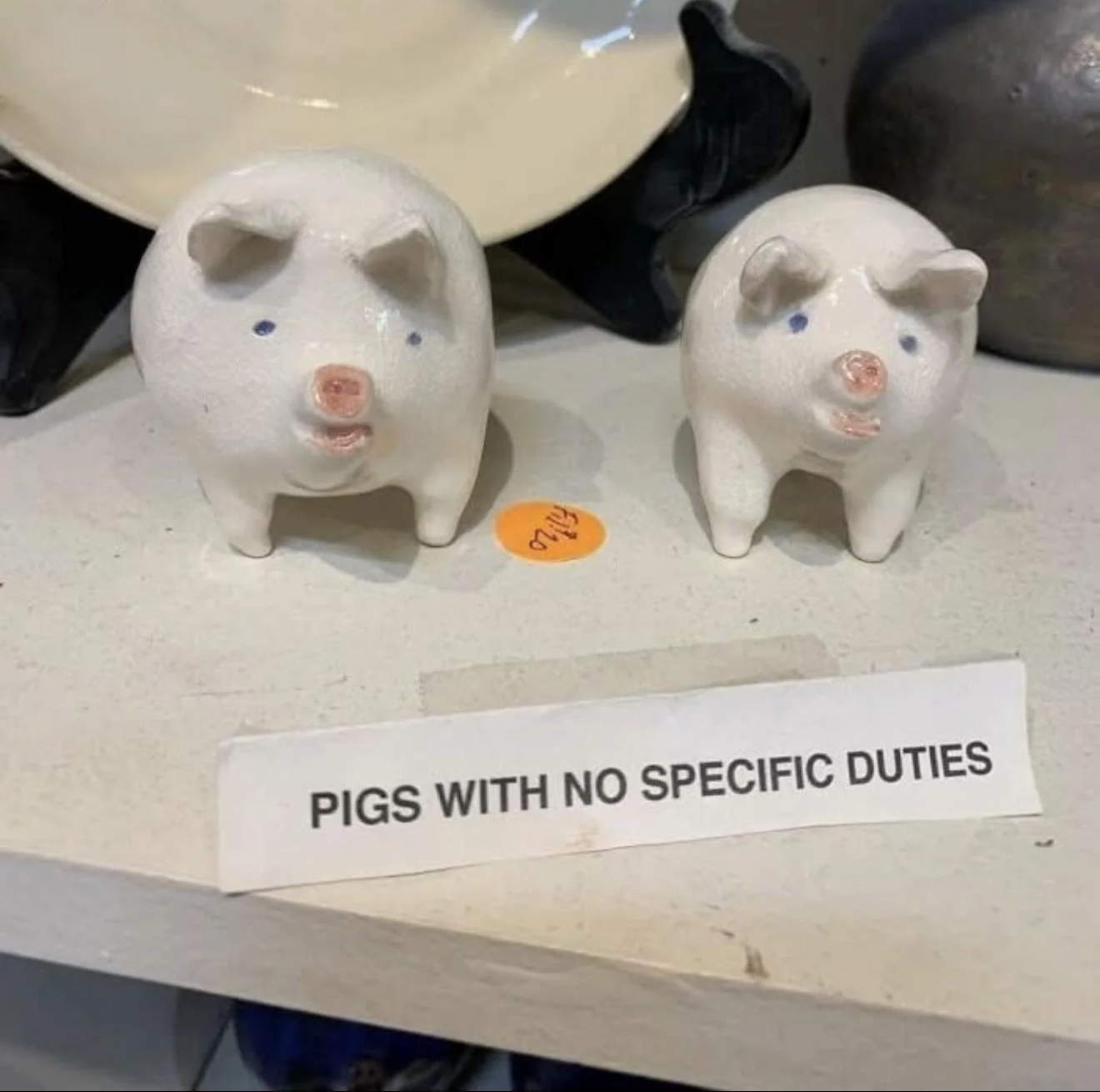 pigs with no specific duties Blank Meme Template