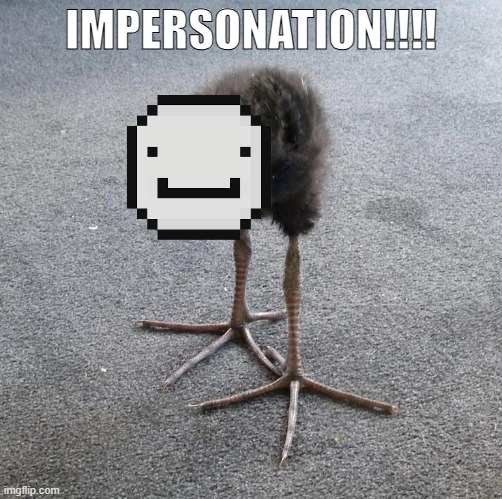 Pukeko chick | IMPERSONATION!!!! | image tagged in pukeko chick | made w/ Imgflip meme maker