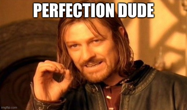 PERFECTION DUDE | image tagged in memes,one does not simply | made w/ Imgflip meme maker