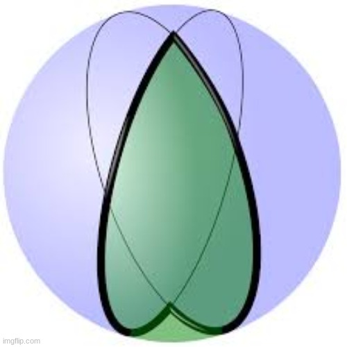 digon | made w/ Imgflip meme maker