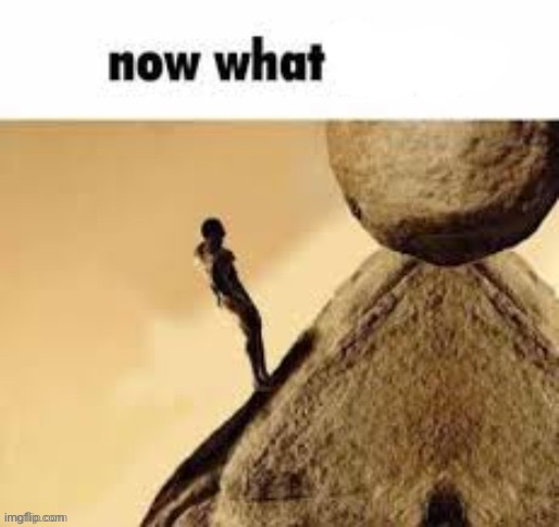 Now what lmao | image tagged in now what lmao | made w/ Imgflip meme maker