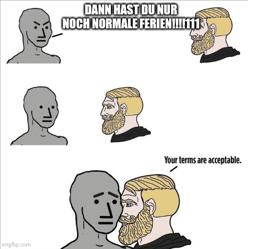 Your terms are acceptable | DANN HAST DU NUR NOCH NORMALE FERIEN!!!!111 | image tagged in your terms are acceptable | made w/ Imgflip meme maker