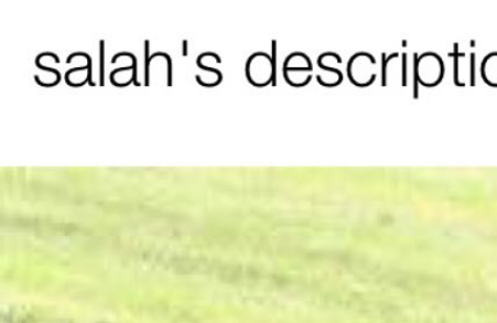 Salah’s Blank Meme Template