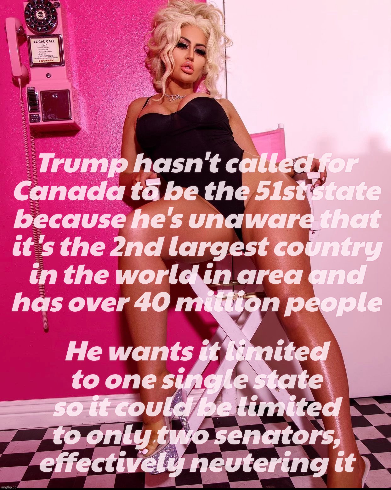 Danii Banks | Trump hasn't called for
Canada to be the 51st state
because he's unaware that
it's the 2nd largest country
in the world in area and
has over | image tagged in danii banks | made w/ Imgflip meme maker