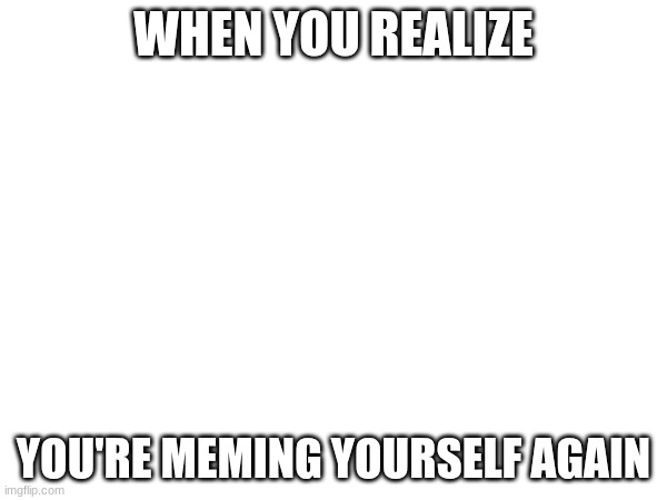 did the ai cook | WHEN YOU REALIZE; YOU'RE MEMING YOURSELF AGAIN | made w/ Imgflip meme maker