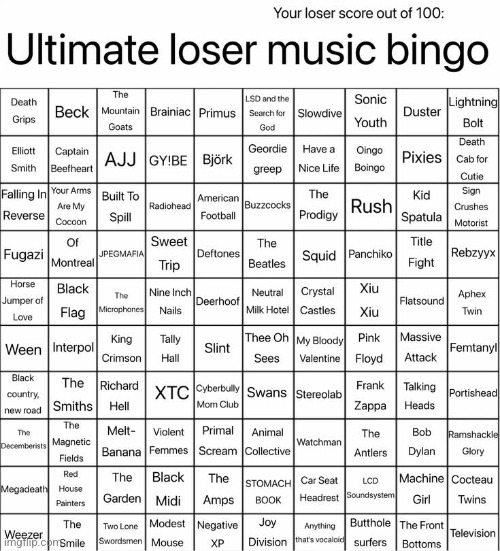 So im not a loser?? | image tagged in ultimate loser music bingo | made w/ Imgflip meme maker