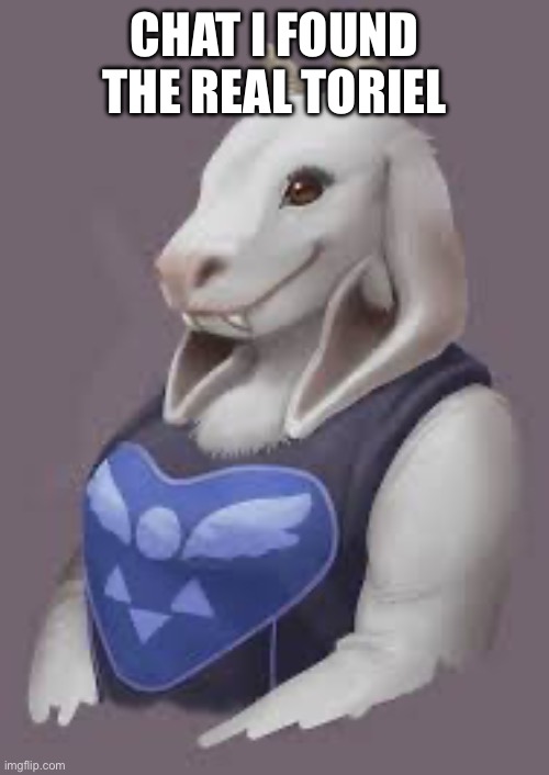 real_dremuur.jpg | CHAT I FOUND THE REAL TORIEL | made w/ Imgflip meme maker