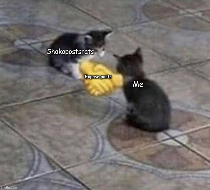 . | Shokopostsrats; Expose posts; Me | image tagged in cat handshake | made w/ Imgflip meme maker