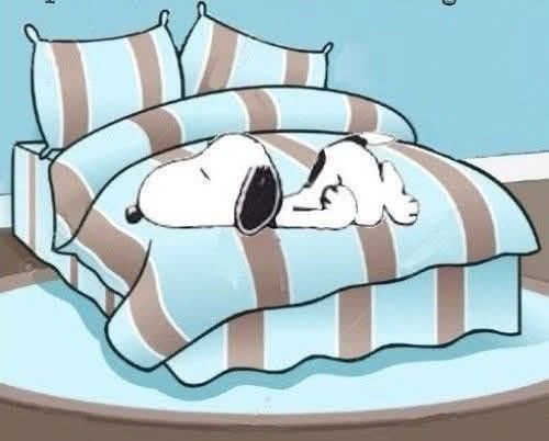 Pet Lovers Blank Meme Template