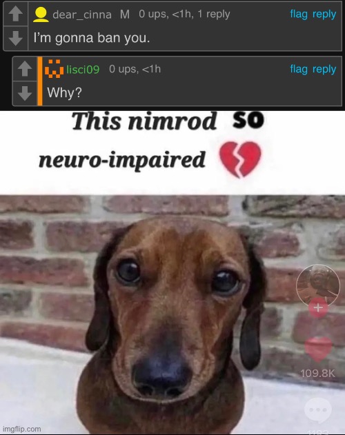 image tagged in this nimrod so neuro-impaired | made w/ Imgflip meme maker