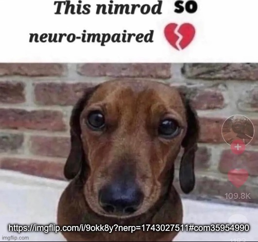 this nimrod so neuro-impaired | https://imgflip.com/i/9okk8y?nerp=1743027511#com35954990 | image tagged in this nimrod so neuro-impaired,msmg | made w/ Imgflip meme maker