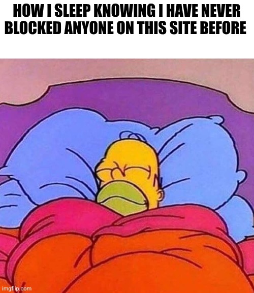 Homer Simpson sleeping peacefully | HOW I SLEEP KNOWING I HAVE NEVER BLOCKED ANYONE ON THIS SITE BEFORE | image tagged in homer simpson sleeping peacefully | made w/ Imgflip meme maker