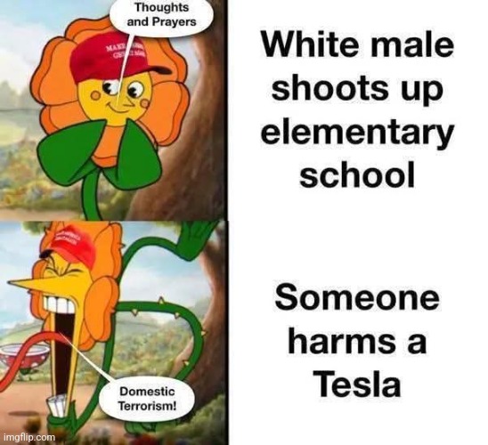 Maga hypocrisy | image tagged in trump,maga,tesla,elon musk,nevertrump,trump sucks | made w/ Imgflip meme maker