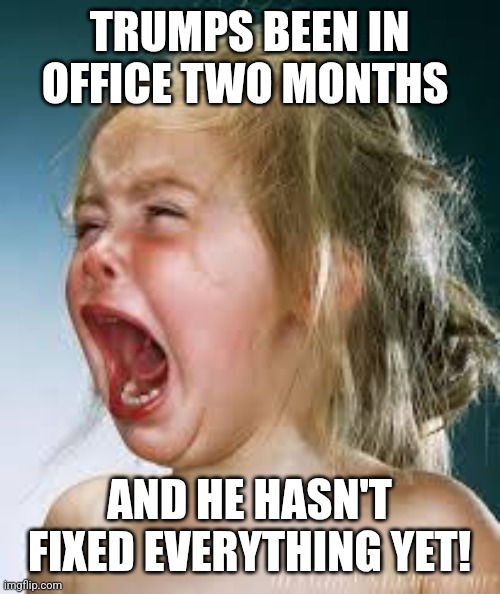 Patience Please | TRUMPS BEEN IN OFFICE TWO MONTHS; AND HE HASN'T FIXED EVERYTHING YET! | image tagged in crying baby | made w/ Imgflip meme maker