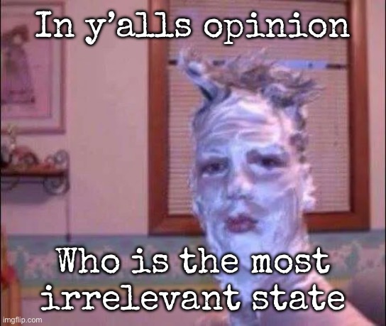Delaware or Idaho are my guesses | In y’alls opinion; Who is the most irrelevant state | image tagged in shaving cream,msmg | made w/ Imgflip meme maker