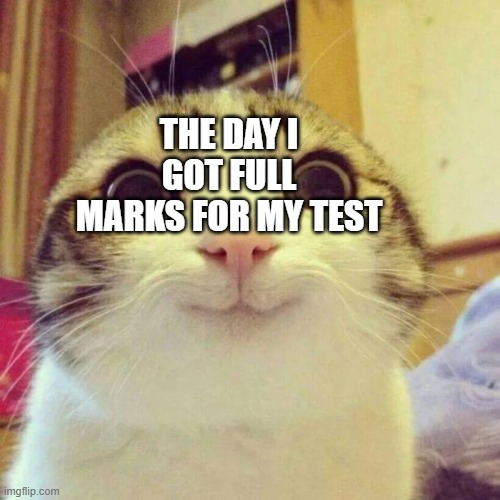 Smiling Cat | THE DAY I GOT FULL MARKS FOR MY TEST | image tagged in memes,smiling cat | made w/ Imgflip meme maker